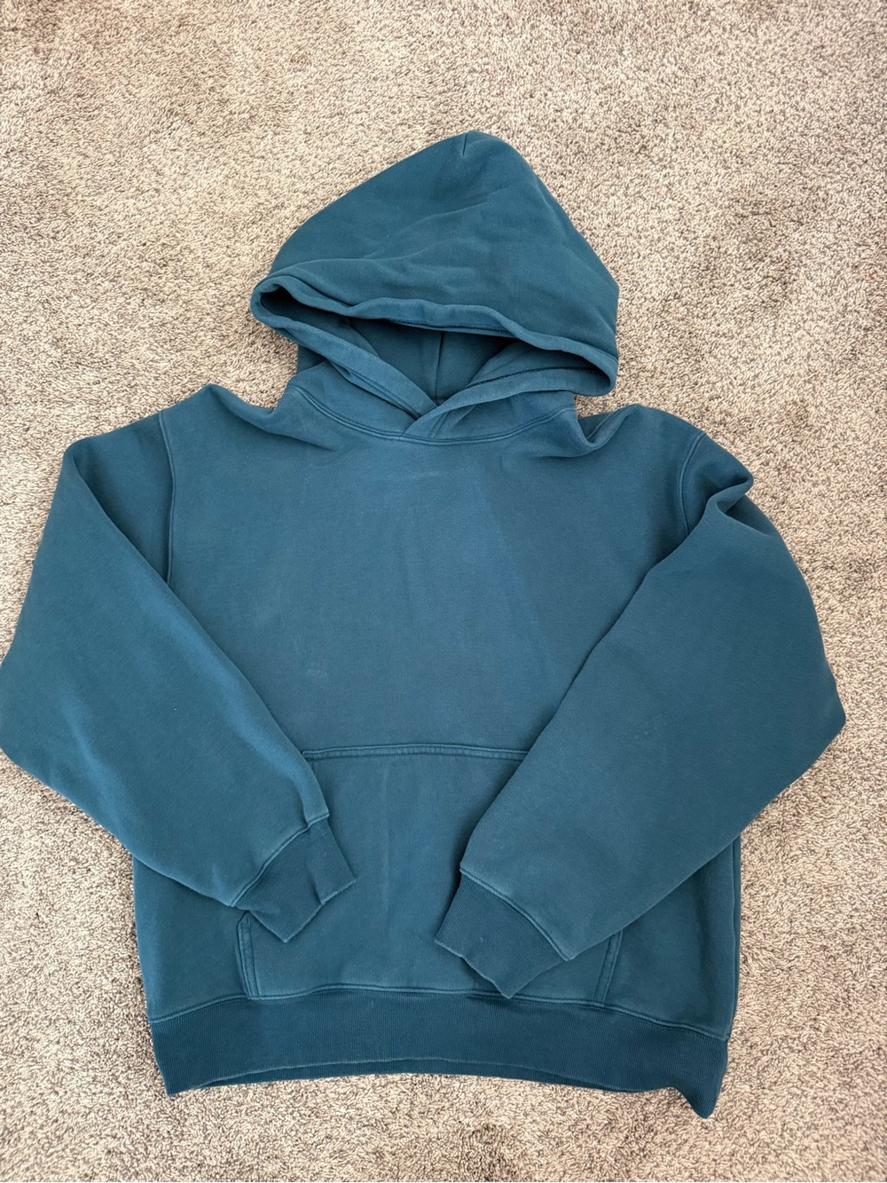 Aritzia cozy fleece hoodie fits like a size s/m